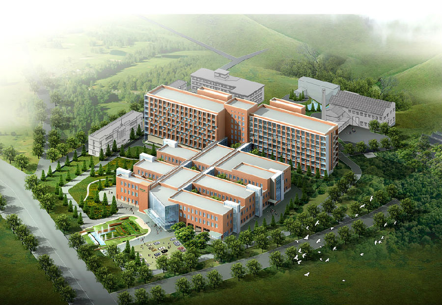 冠航不銹鋼手拉葫蘆廠